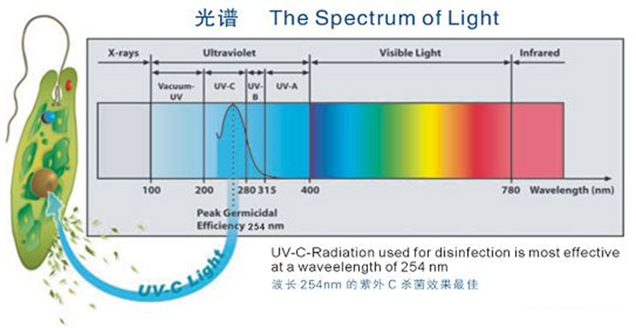 科普！紫外線殺菌燈對(duì)人體影響及正確使用方法