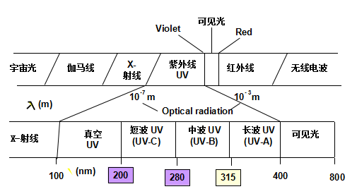 圖片 11.png